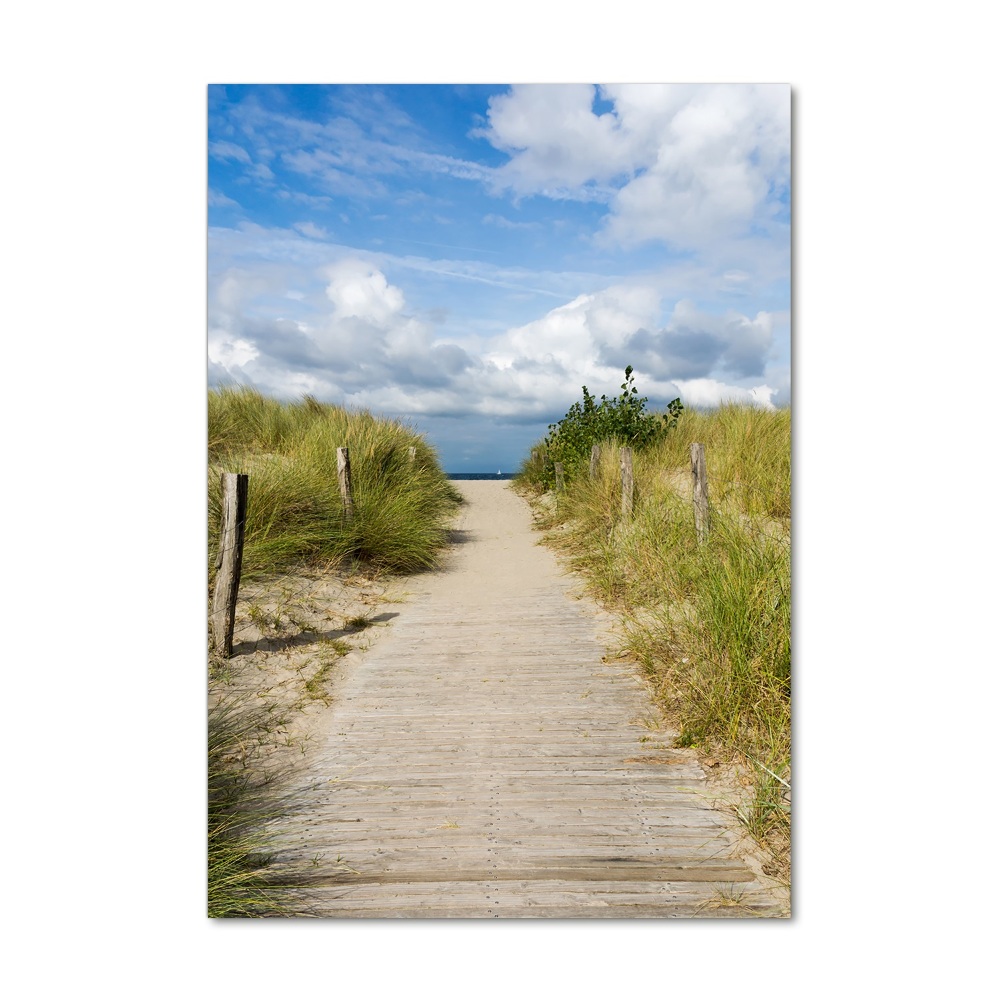 Tableau photo sur verre Sentier vers les plages