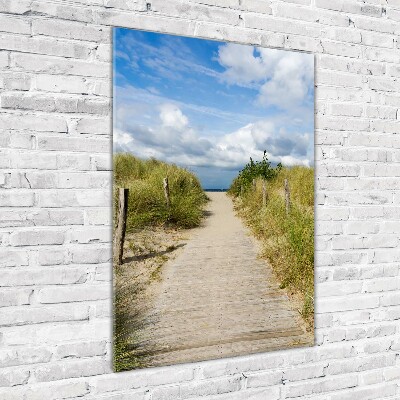 Tableau photo sur verre Sentier vers les plages