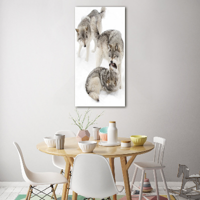 Tableau photo sur verre Loup gris