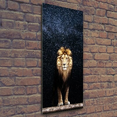 Tableau imprimé sur verre Lion sur fond d'étoiles