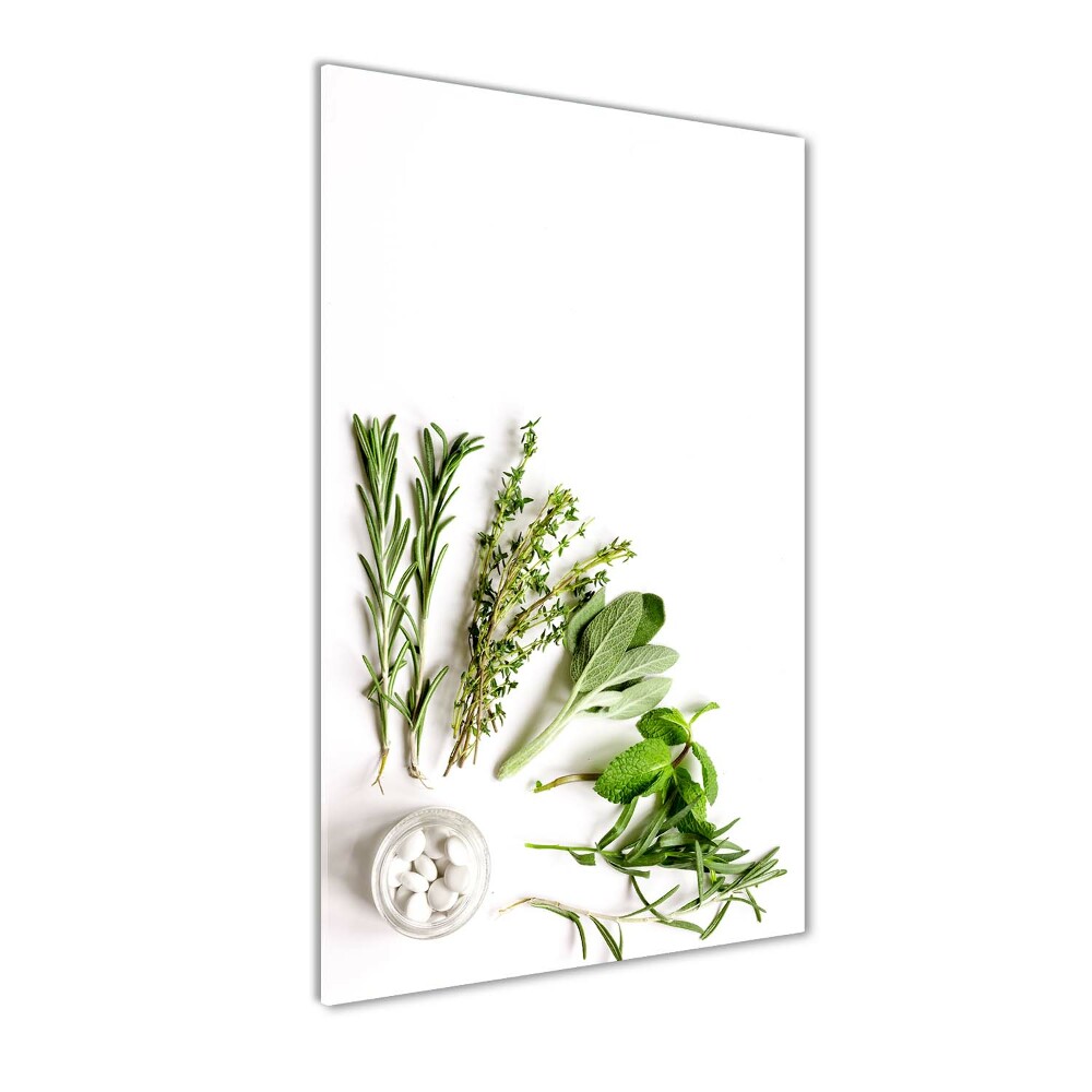 Tableau verre imprimé Herbes