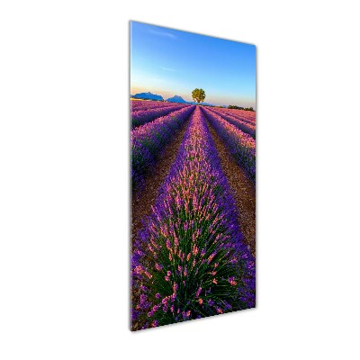 Tableau en verre Fleurs violettes de lavande