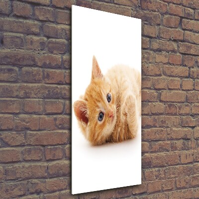 Tableau sur verre Petit chat roux