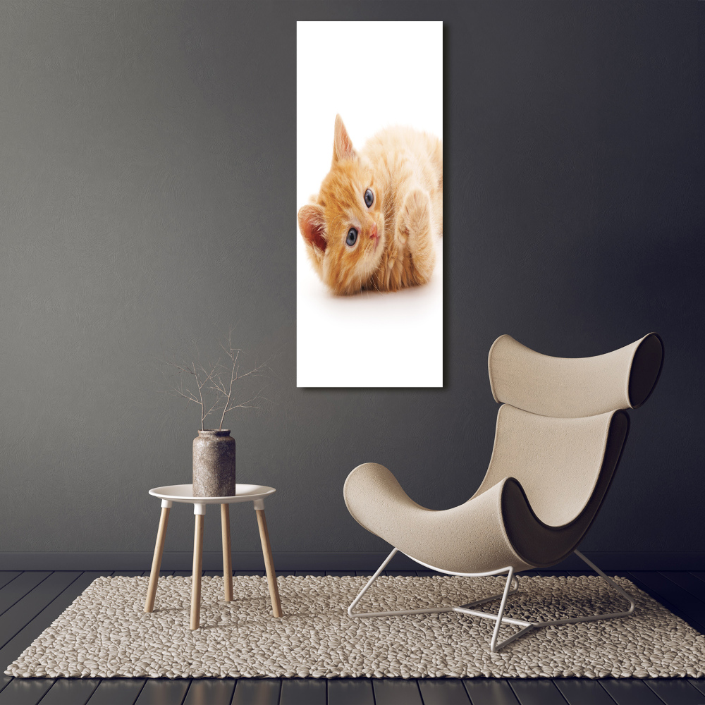 Tableau sur verre Petit chat roux