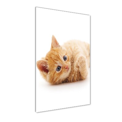 Tableau sur verre Petit chat roux