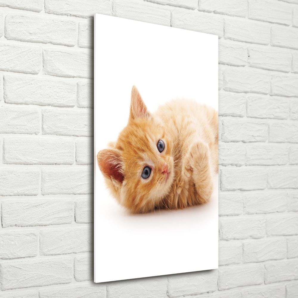 Tableau sur verre Petit chat roux