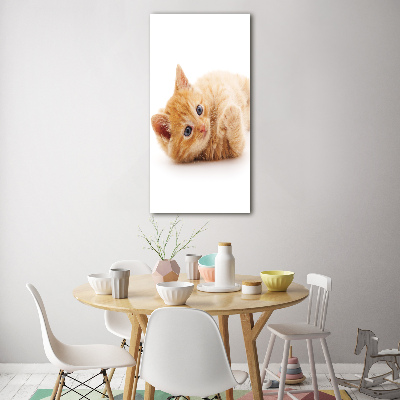 Tableau sur verre Petit chat roux