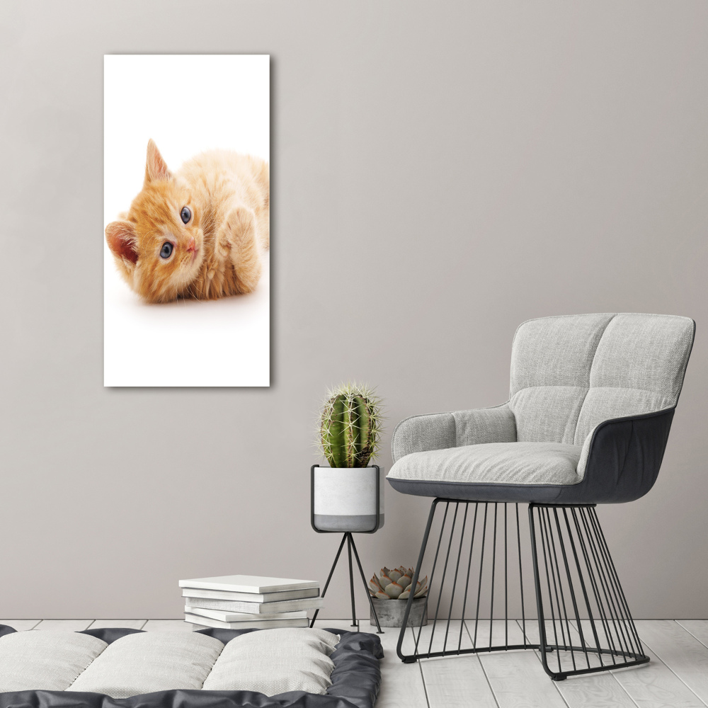 Tableau sur verre Petit chat roux