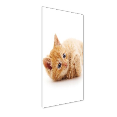 Tableau sur verre Petit chat roux