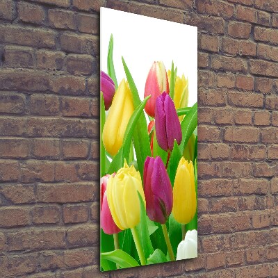 Tableau sur verre Tulipes colorées