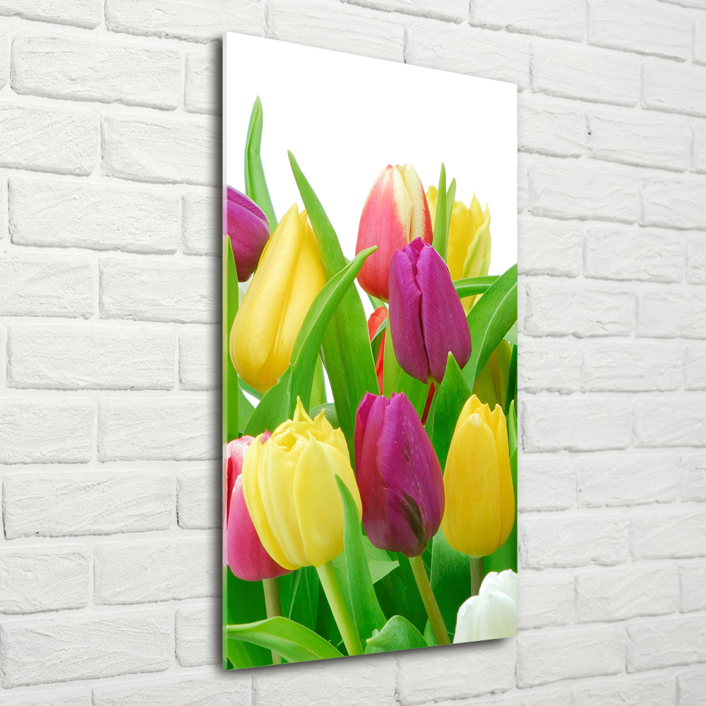 Tableau sur verre Tulipes colorées