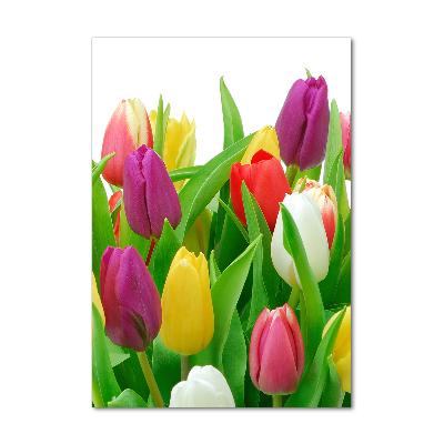 Tableau sur verre Tulipes colorées