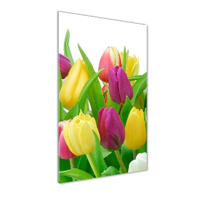 Tableau sur verre Tulipes colorées