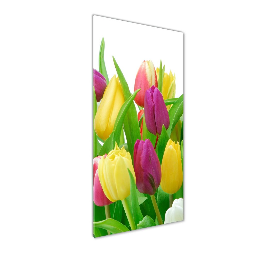 Tableau sur verre Tulipes colorées