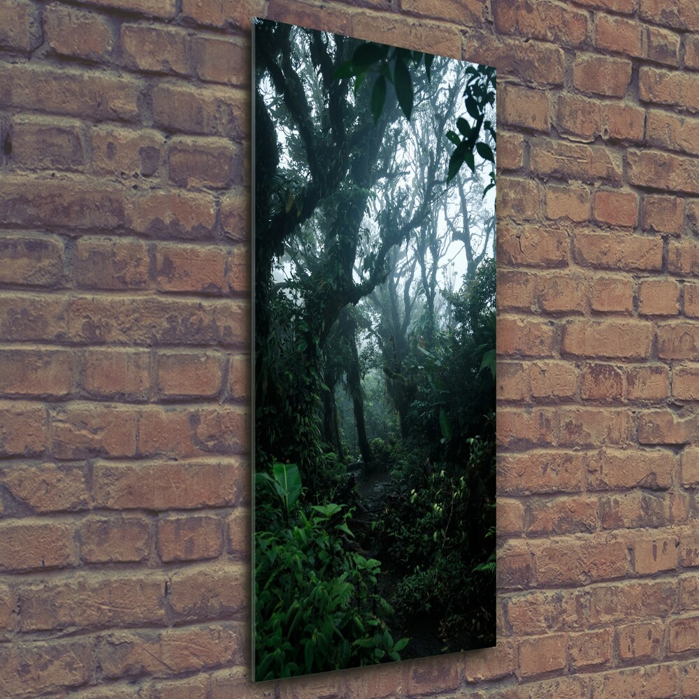 Tableau photo sur verre Forêt tropicale