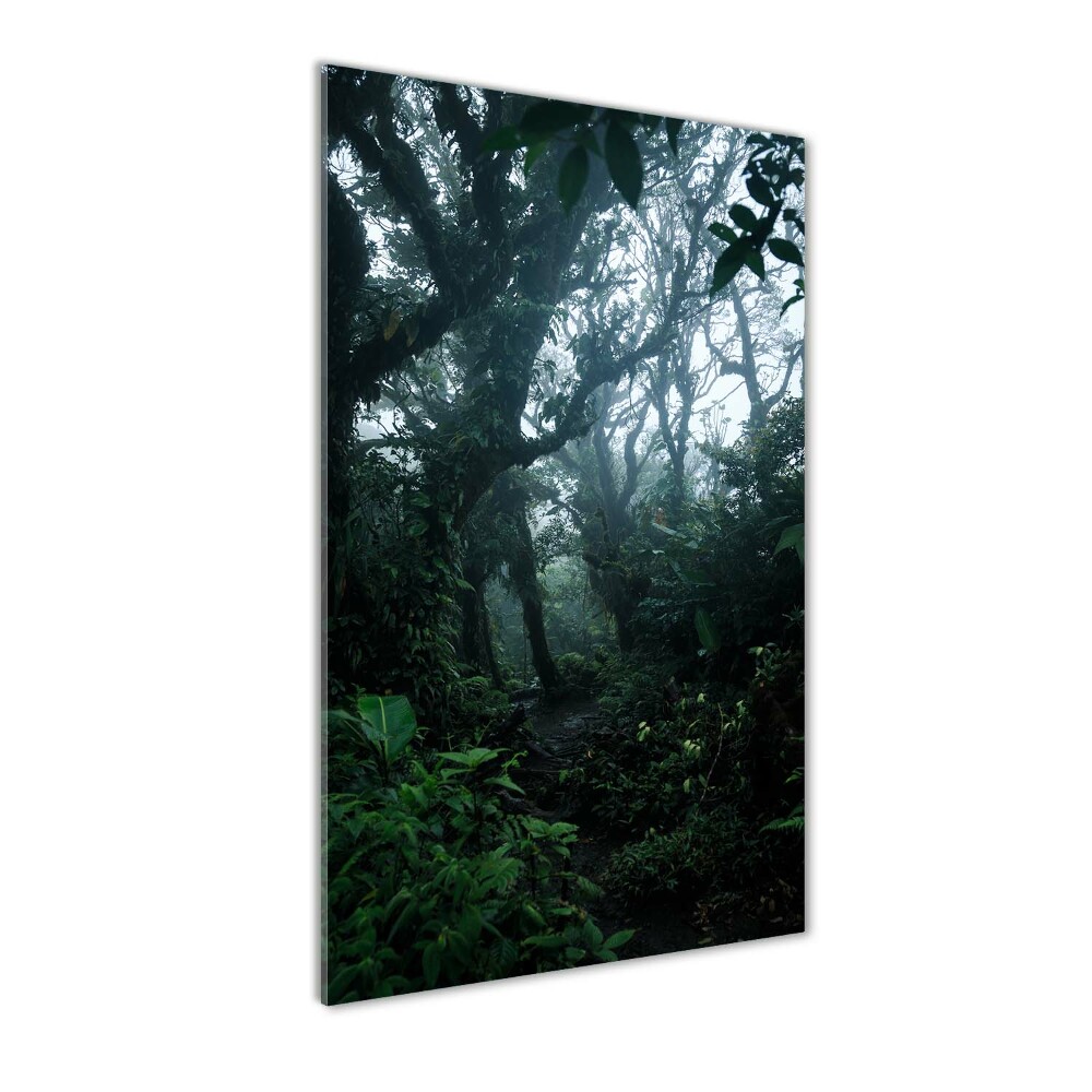 Tableau photo sur verre Forêt tropicale