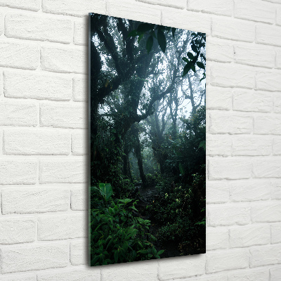 Tableau photo sur verre Forêt tropicale