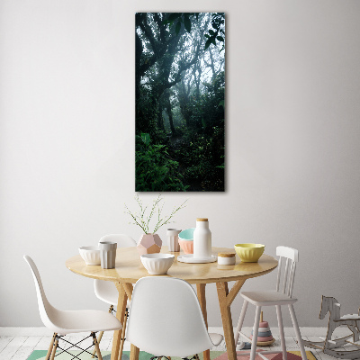 Tableau photo sur verre Forêt tropicale