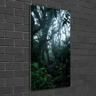 Tableau photo sur verre Forêt tropicale