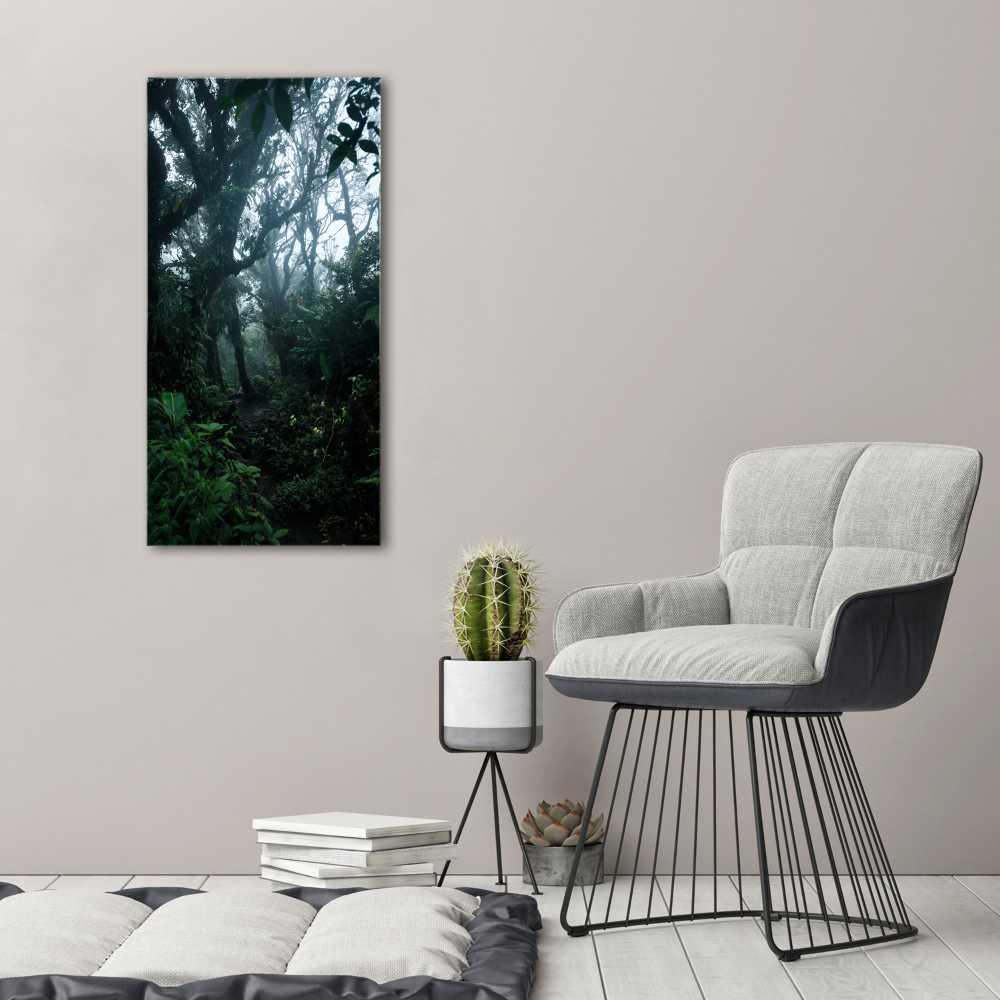 Tableau photo sur verre Forêt tropicale