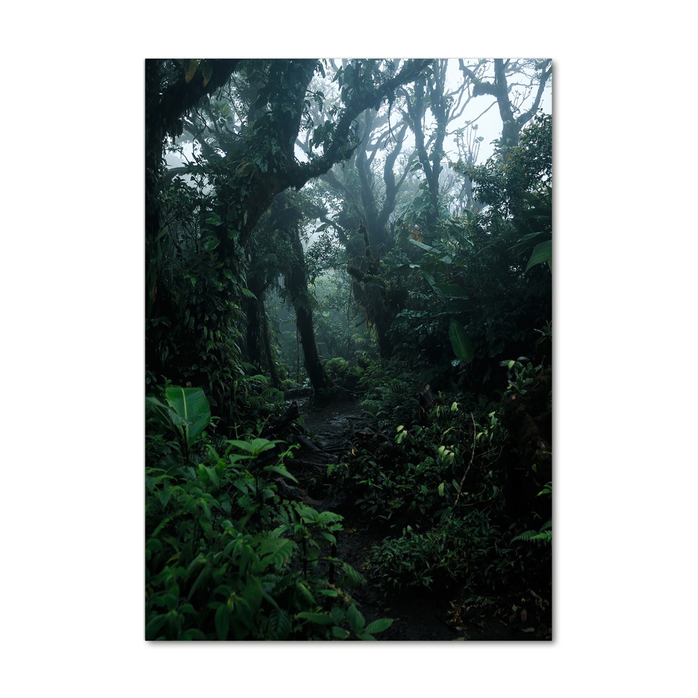 Tableau photo sur verre Forêt tropicale