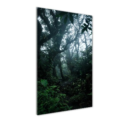 Tableau photo sur verre Forêt tropicale