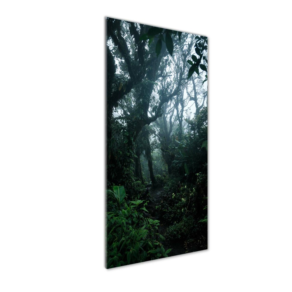 Tableau photo sur verre Forêt tropicale