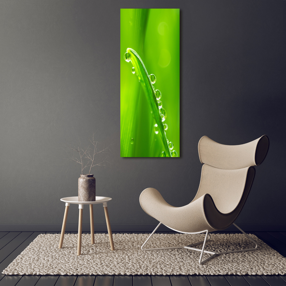 Tableau en verre Tiges d'herbe