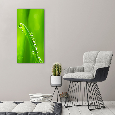 Tableau en verre Tiges d'herbe