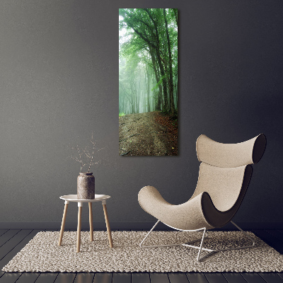 Tableau photo sur verre Brume dans la forêt