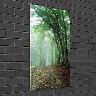 Tableau photo sur verre Brume dans la forêt