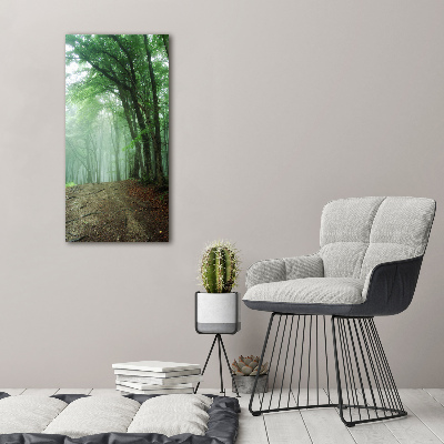 Tableau photo sur verre Brume dans la forêt