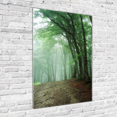 Tableau photo sur verre Brume dans la forêt