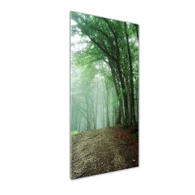 Tableau photo sur verre Brume dans la forêt