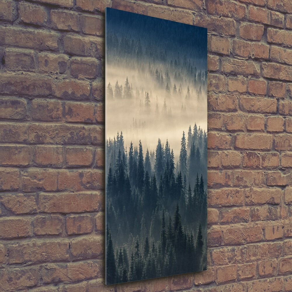 Tableau imprimé sur verre Brume sur la forêt