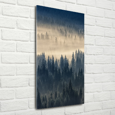 Tableau imprimé sur verre Brume sur la forêt