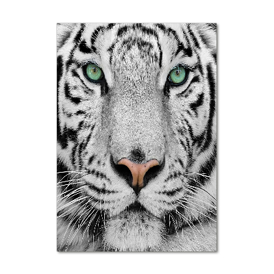 Tableau photo sur verre Tigre blanc