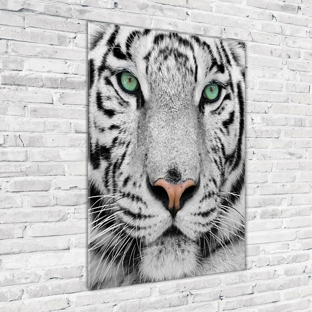 Tableau photo sur verre Tigre blanc