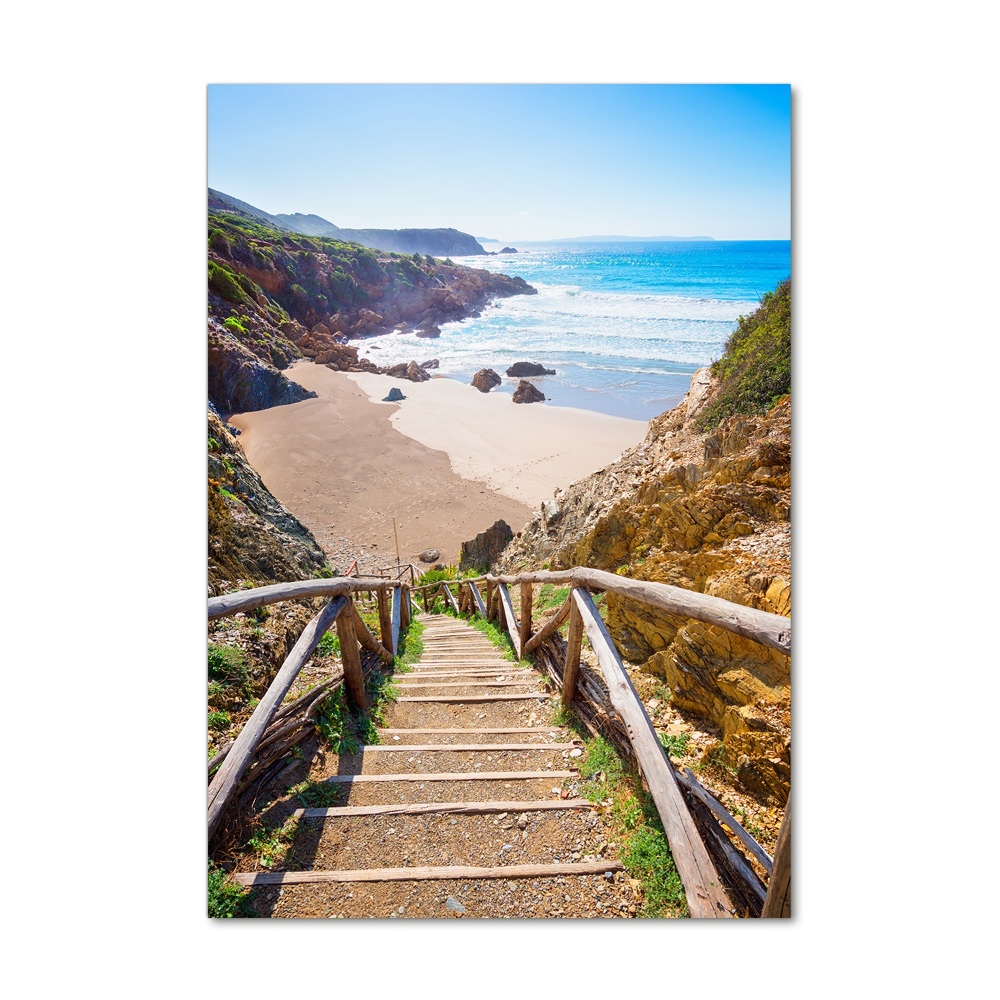 Tableau imprimé sur verre Chemin vers les plages