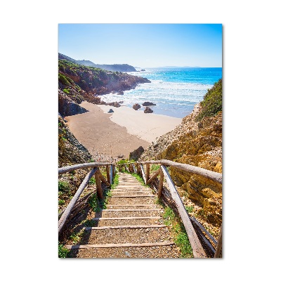 Tableau imprimé sur verre Chemin vers les plages