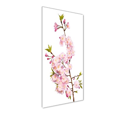 Tableau en verre Fleur de cerisier plante