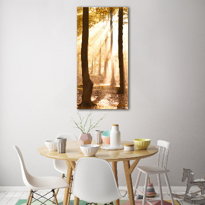 Tableau en verre Forêt en automne