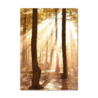 Tableau en verre Forêt en automne