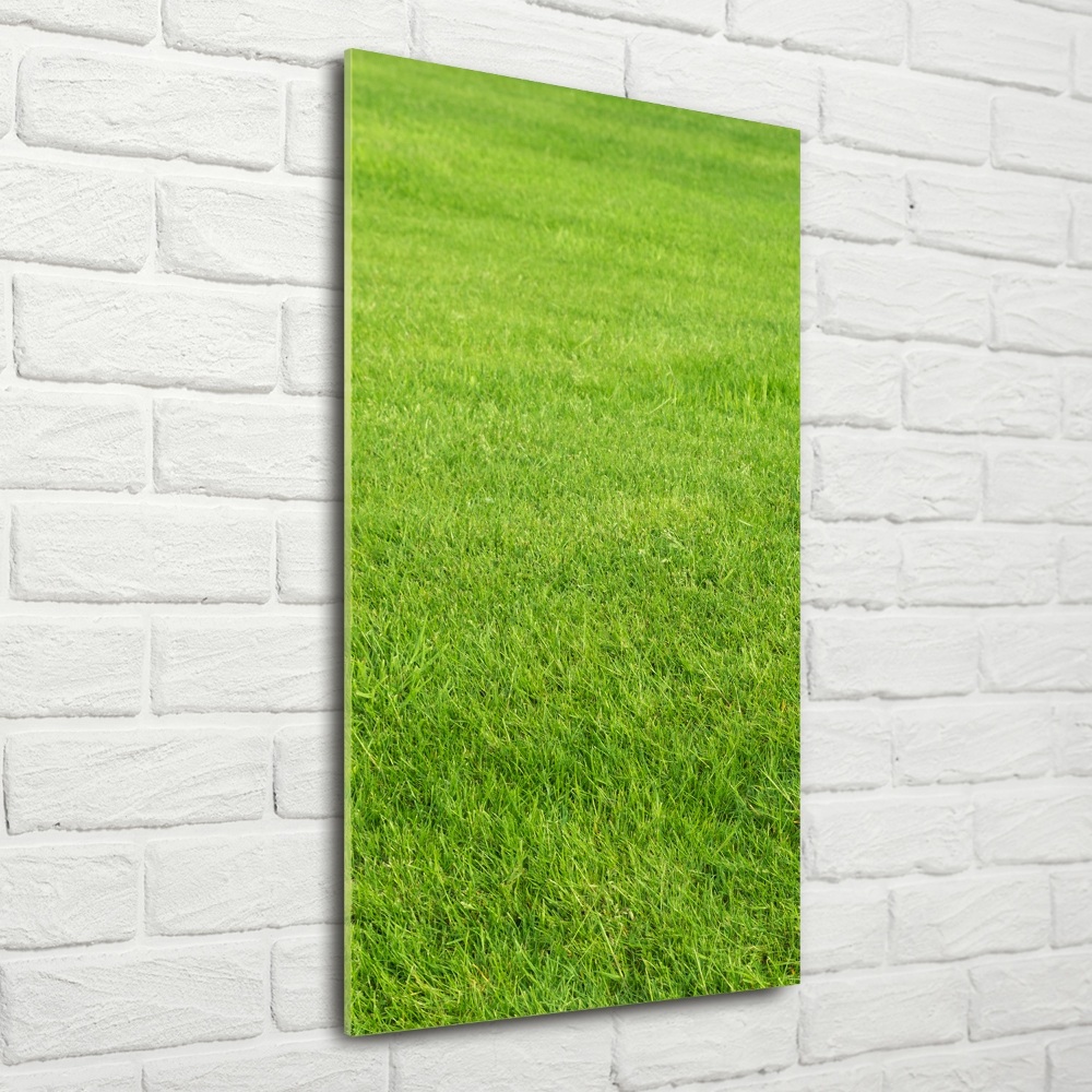 Tableau imprimé sur verre Herbe verte