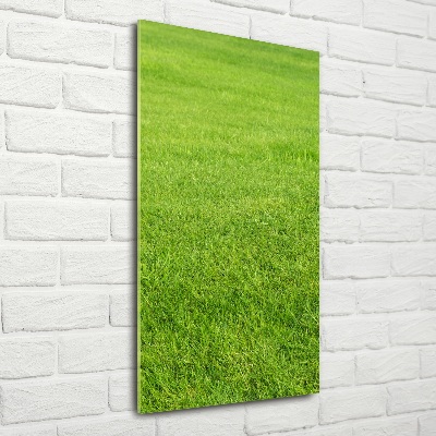 Tableau imprimé sur verre Herbe verte