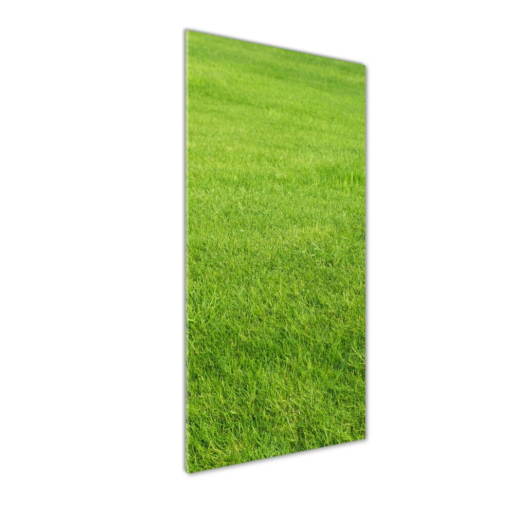 Tableau imprimé sur verre Herbe verte