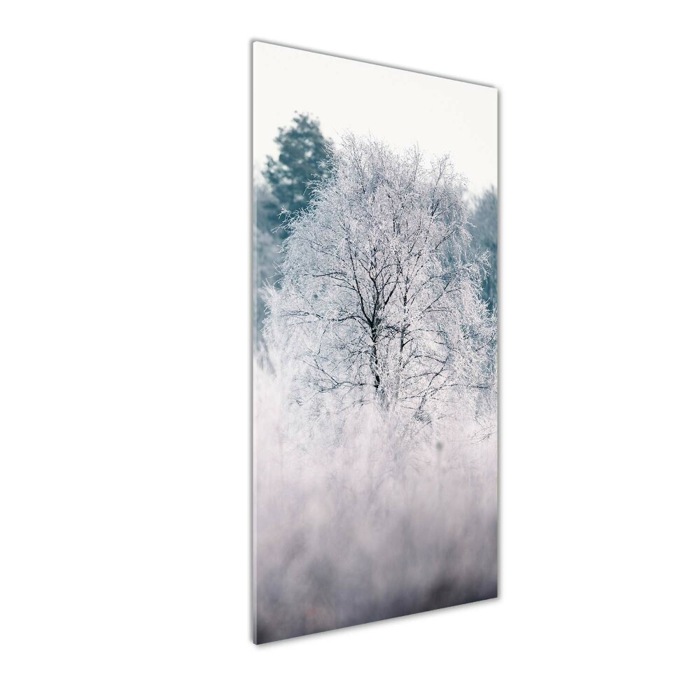 Tableau en verre Forêt en hiver