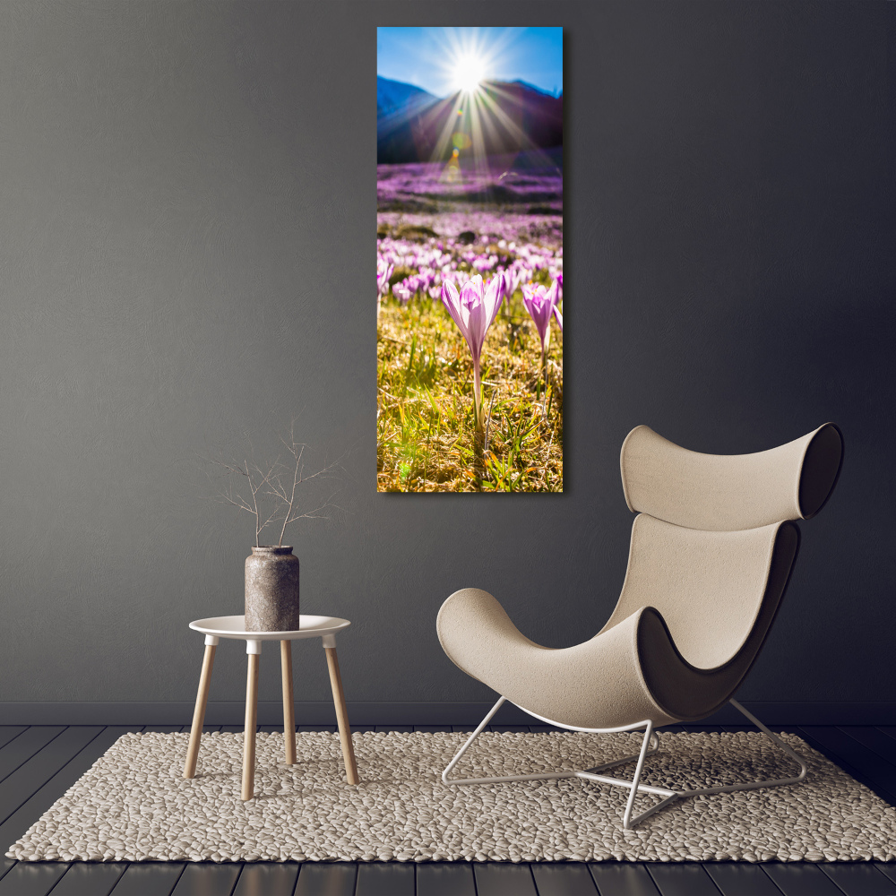 Tableau sur verre Crocus dans les montagnes