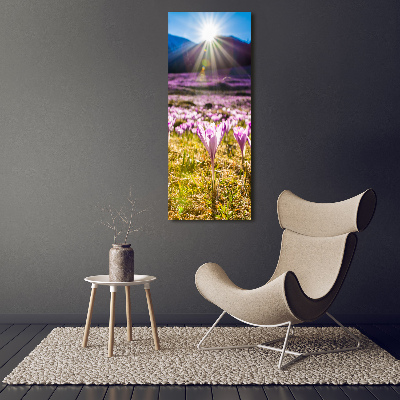 Tableau sur verre Crocus dans les montagnes