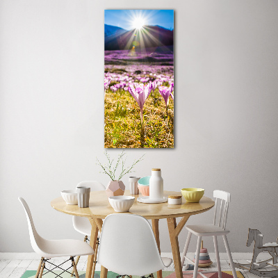 Tableau sur verre Crocus dans les montagnes